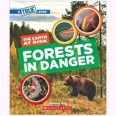A True Book - The Earth at Risk: Forests in Danger by Jasmine Ting 2024 PB New