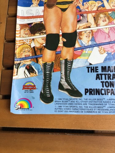 LJN The Killer Bees Tag team WWF Poster 1986 Original Wrestling Superstars WWE - Picture 3 of 11