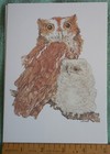 Picture 2 of 20
