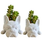 1pcs Dog Succulent Planter, Flower Pot, Resin Vase Succulent For Indoor Outdoor