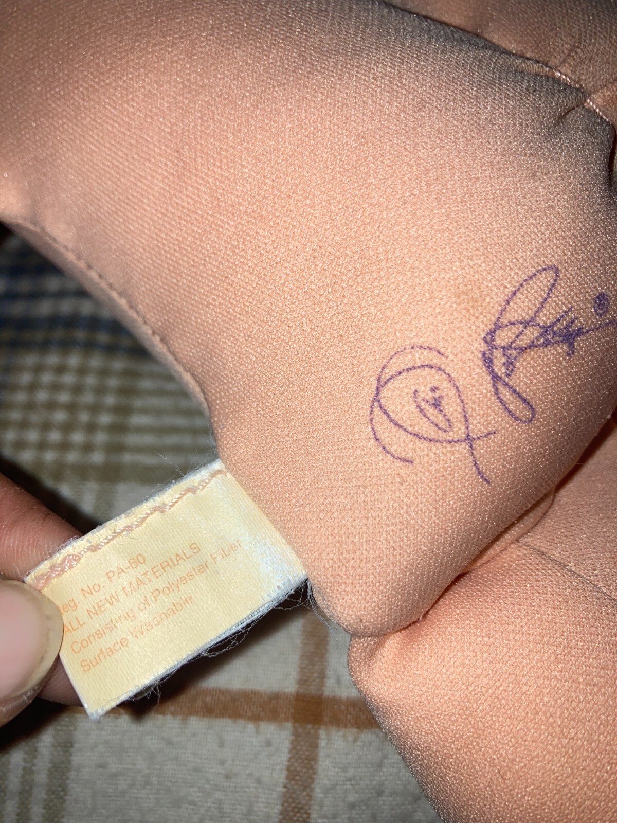Picture 5 of 5