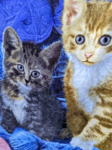 Greg Cuddiford Blanket Throw Two Kittens Cats Yarn Northwest 50 x 60" Soft Warm - Picture 15 of 16