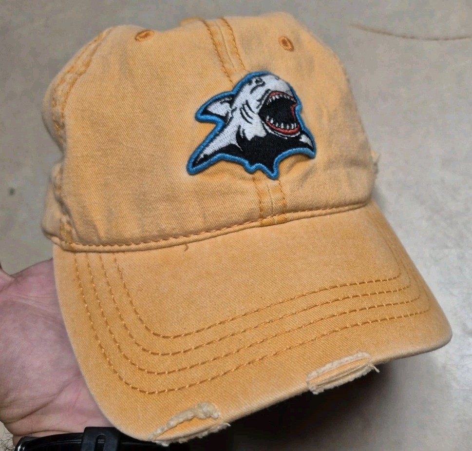 American Eagle Distressed Strapback Baseball Cap … - image 2