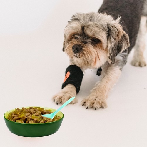 Cuchara de alimentación multifuncional para mascotas 4 piezas cocina cocina alimentos cucharas mezcladoras - Imagen 12 de 12