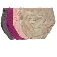 Breezies Set of 4 Nylon Microfiber Hi-Cut Briefs 1X A287800 12977