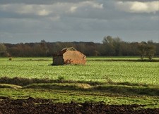 Photo A3 Old farm building west of South Engine Drain Tunnel Pits  c2017