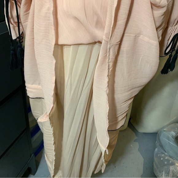 Zara Pink Chiffon Dress XS Sheer Long Sleeve Slit Bloggers Boho Chic