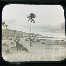 Vtg Magic Lantern Glass Slide Photo Mount Carmel Egypt