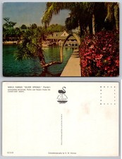 Silver Springs Florida Pool Palms Houses Postcard