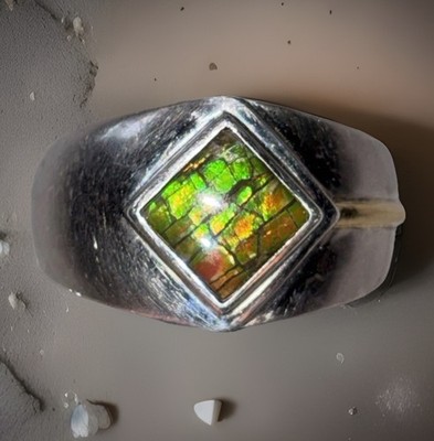 18K Gold Sterlingsilber selten kanadischer Ammolith Herrenring 10g Größe 12,75 FEIN