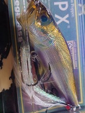 Fishing Lure Megabass ito Pop X First shipment NEW GW Lake Biwa Smelt New unopen