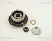 Triscan Radlagersatz Hinterachse U.A. FüR CitroËN, Peugeot