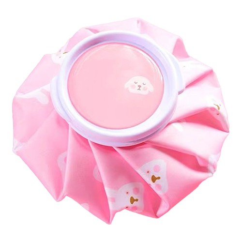 Mini Bolsa de Hielo Linda Dibujos Animados Estampada Floral Uso Frío Caliente Bolsa de Hielo para Hogar SG5 - Imagen 11 de 12