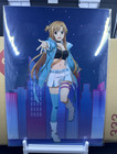Sword Art Online: Asuna & Sinon Clear File Set — photo 1