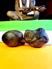 Authentic Museum grade Banded chert Head and banner stone Personal find Mi.