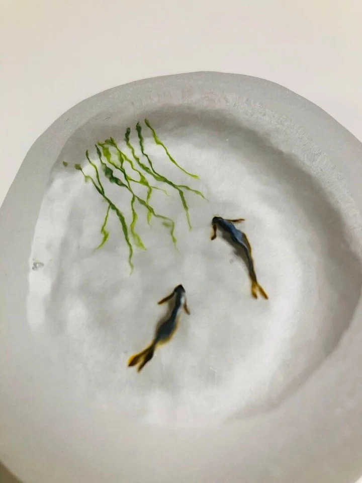 Peso de papel pedra de vidro Yuko Kubo peixe doce lagoa de peixes Ayu água Japão - Imagem 2 de 4