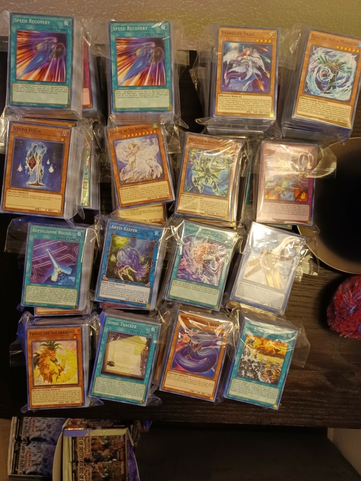 Yugioh Bulk Card 500 Lot Random Common Rare NM ships with 2024 Mega Tin