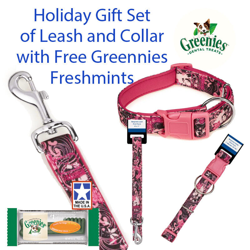 Small Dog Pink Floral 4 Ft Lead 3/8" 6-10" Collar Gift Set & Free Greenies 