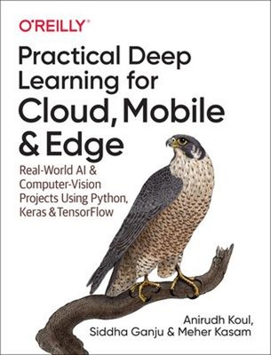 Practical Deep Learning for Cloud, Mobile, and Edge : Real-World