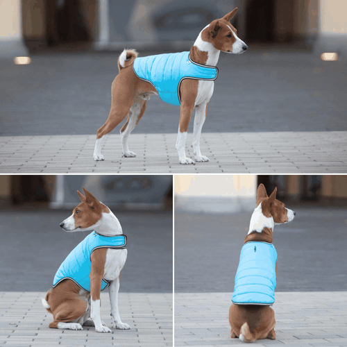Dog Winter Coat for Small Medium & Large Dogs Waterproof Dog Warm Jacket for - Picture 7 of 7