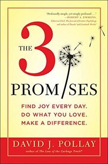 The 3 Promises: Find Joy Every Day. Do What You Love. Ma... | Buch | Zustand gut