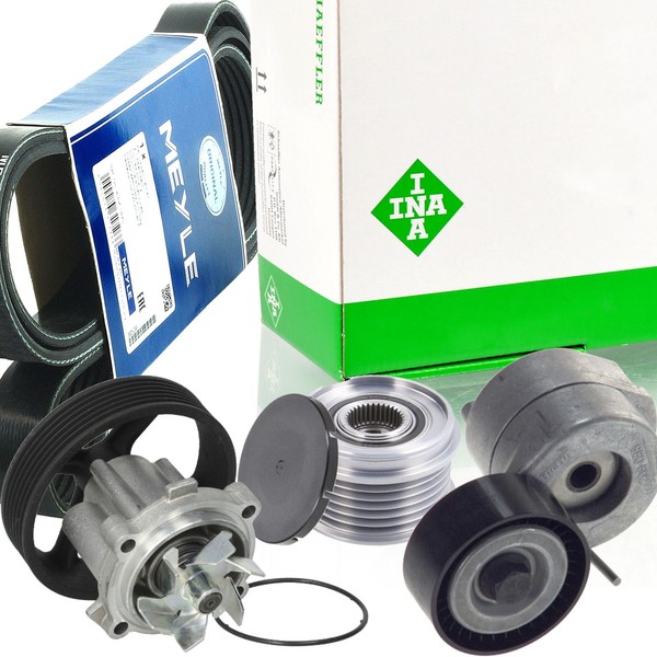 Meyle 6PK1318 Keilrippenriemen-Satz + Freilauf Wapu FüR Fiat Opel-image