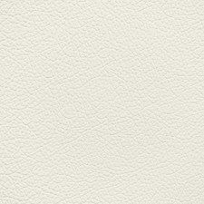 Jaguar Light Oyster Leather Dye