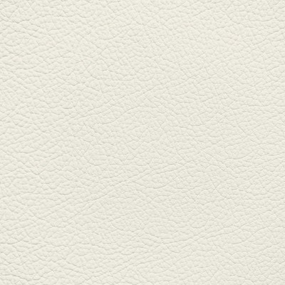 Jaguar Light Oyster Leather Dye
