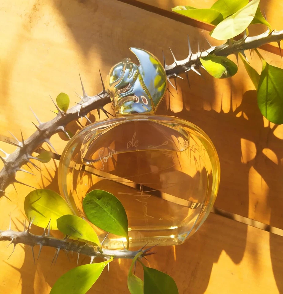 Sisley Soir De Lune 3,3 oz / 100 ml Eau De Parfum Spray Perfume Mujer Nuevo en Caja Foto 3 de 4