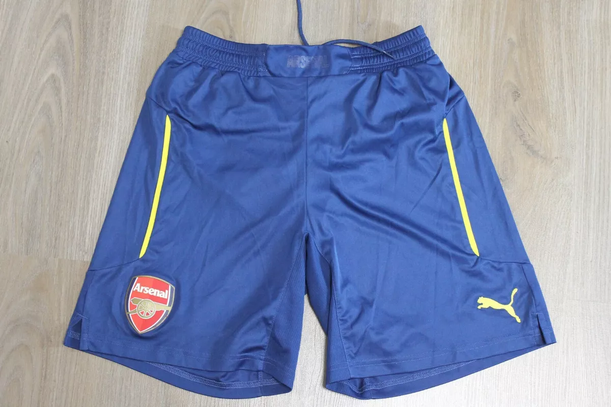Puma shorts cheap mens 2014