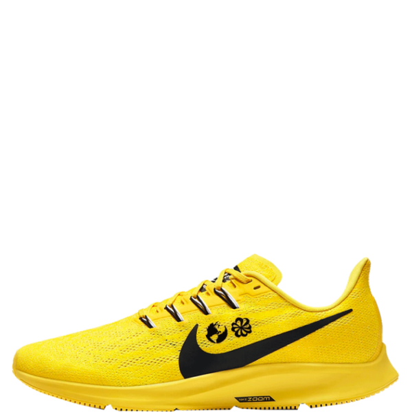 pegasus 36 cody hudson