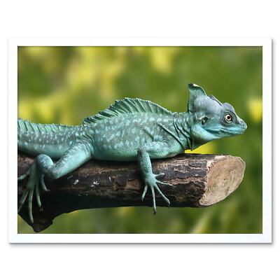Photograph Nature Animal Lizard Reptile Plumed Basilisk 12X16 Inch Framed Print