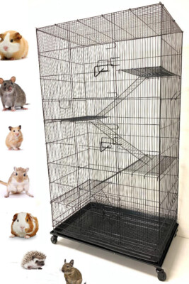 55'' X-Large 5-Level Ferret Guinea Pig SugarGlider Rat Mice Squirrel Hamster Cage