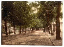 8" x 10" Photo Promenade looking towards High Street, Cheltenham, England