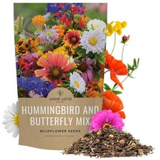 Bulk Wildflower Seeds Butterfly and Hummingbird Mix - 1 Pound Bag - Over 120,... 82.99 per gallon