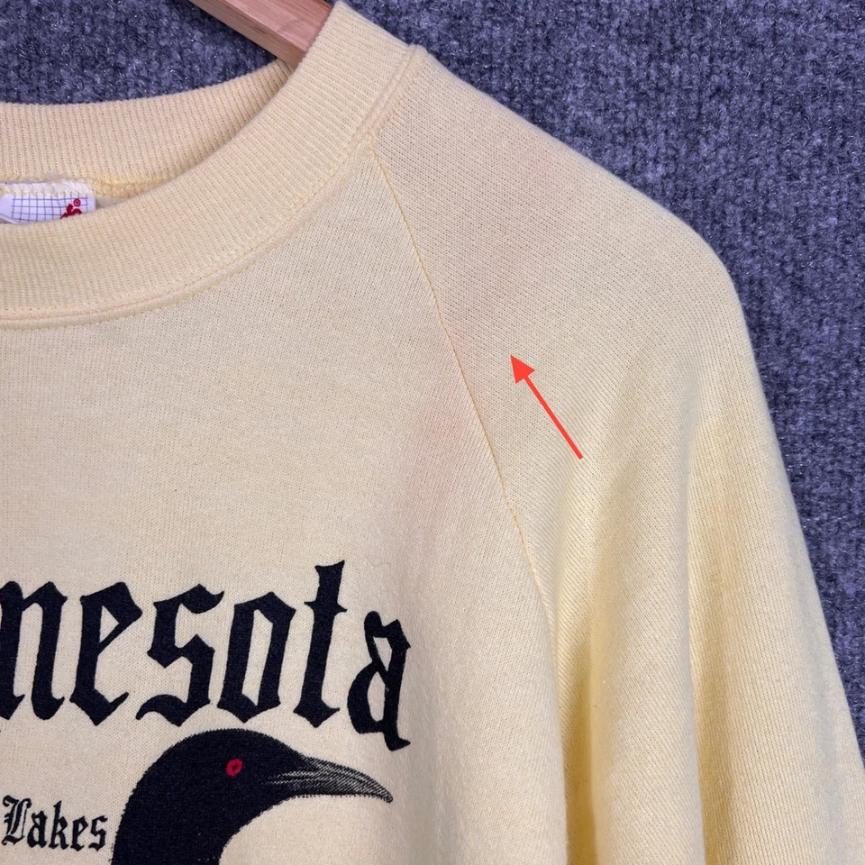 Sudadera De Colección Minnesota Land of 10000 Lakes Loon Bird Gráfico Jerzees L Foto 4 de 4