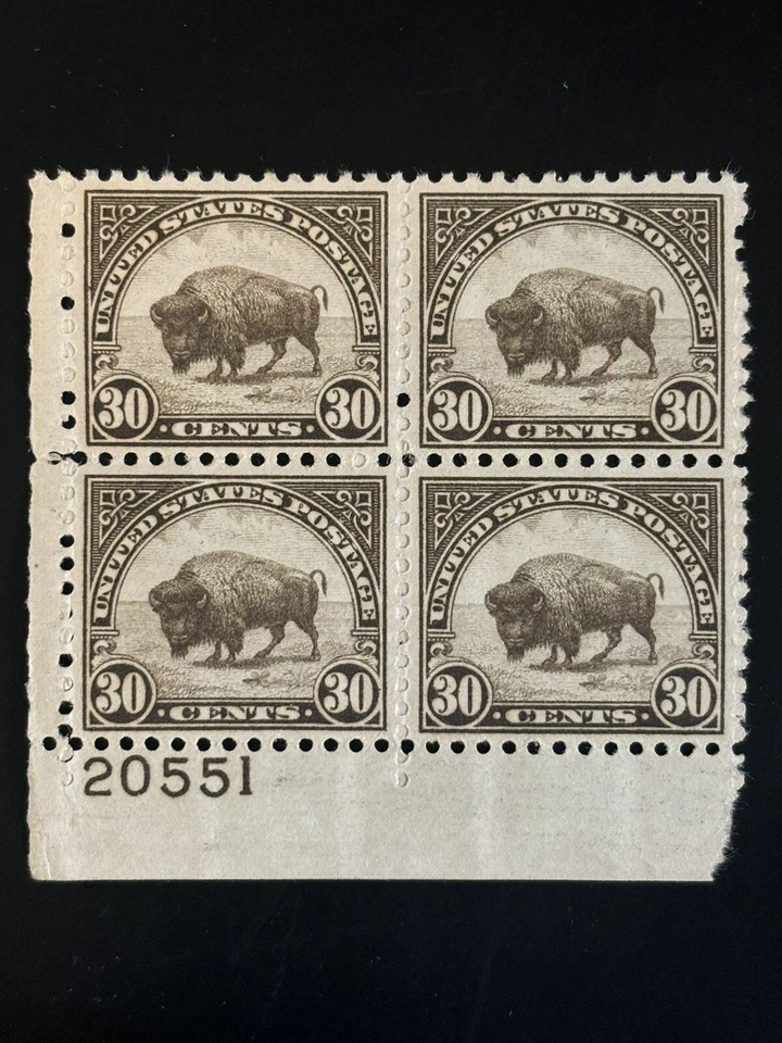 US STAMP SCOTT # 700 PLATE BLOCK MNH OG SEE IMAGES!  BUFFALO 30c RV ~ $165.00 - Image 2 of 4