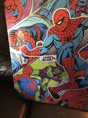 vintage amazing  sipedir man poster on canvae from episode spider man and hulk