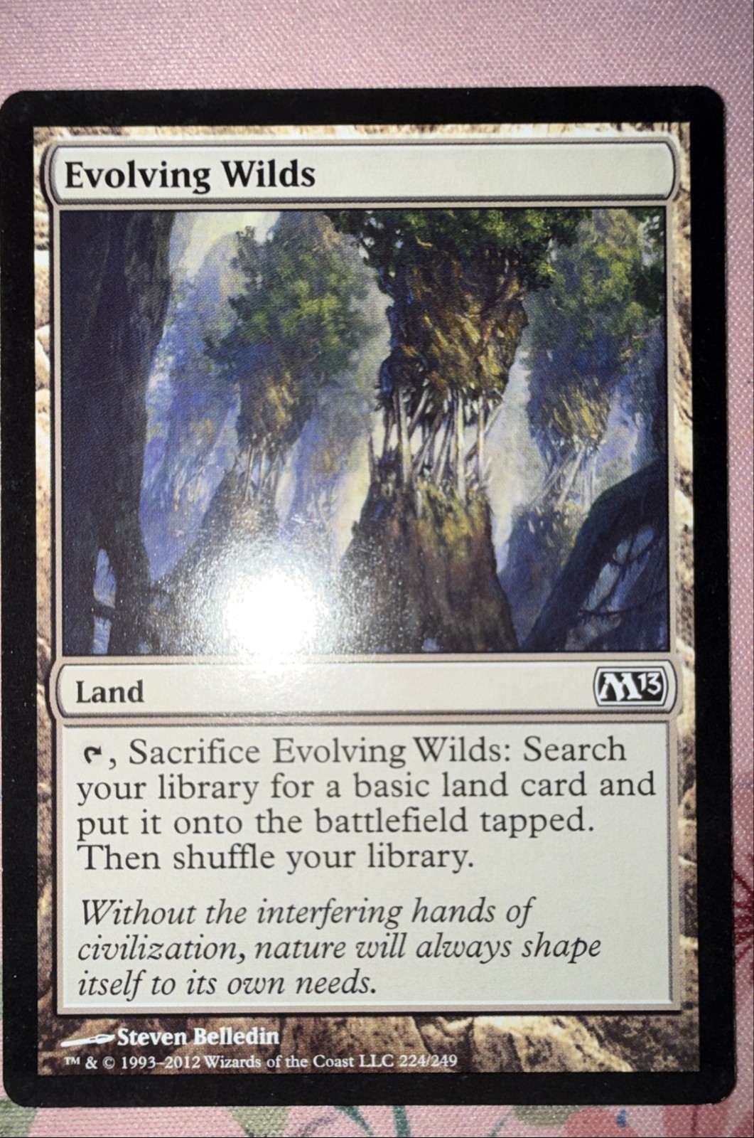 Evolving Wilds Core Set 2013 (M13) Regular
