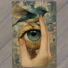 Art Print Weird Blue Eye Bird Held by Human Hand Spooky Strange Surreal Unusual
