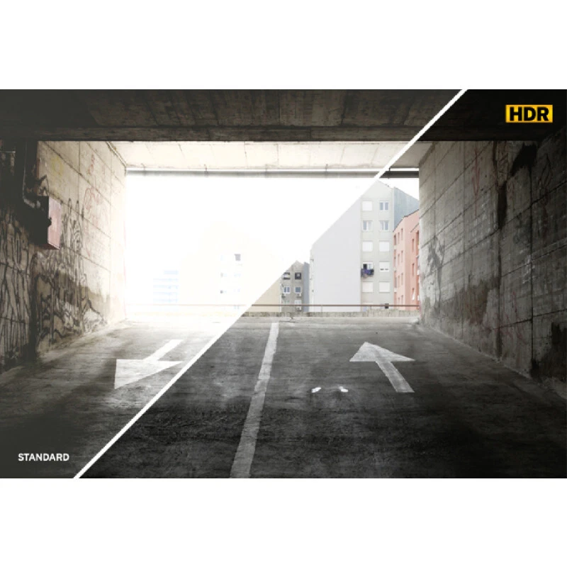 Alpine HCE-C2100RD Multi-View High Dynamic Range (HDR) Rear View Backup Camera - Image 3 of 4