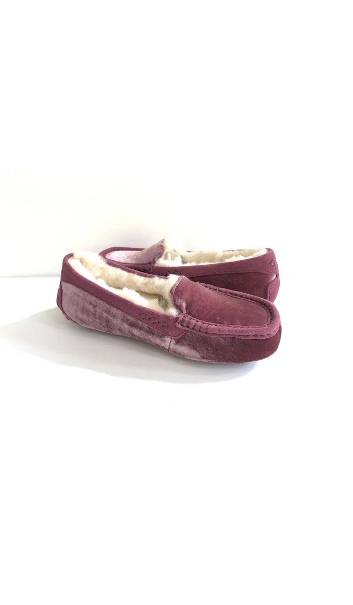 Ugg ansley store bougainvillea