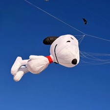 3.5m Dog Kite Line Laundry Soft Inflatable 30D Ripstop Nylon Fabric with Bag