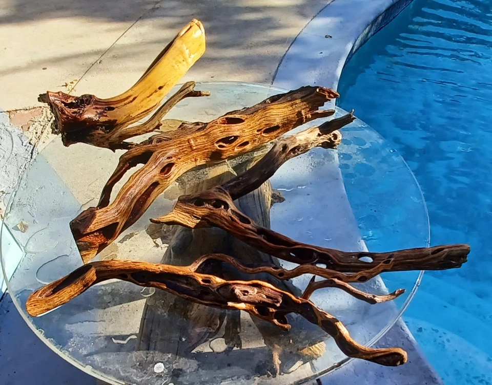 Set Of 4 For The Price Of 1 Large Driftwood Manzanita Beutiful  - Image 2 of 4