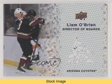 2023 Upper Deck Series 2 Director of Boards Sparkle Liam O'Brien #DB-7 READ z6b