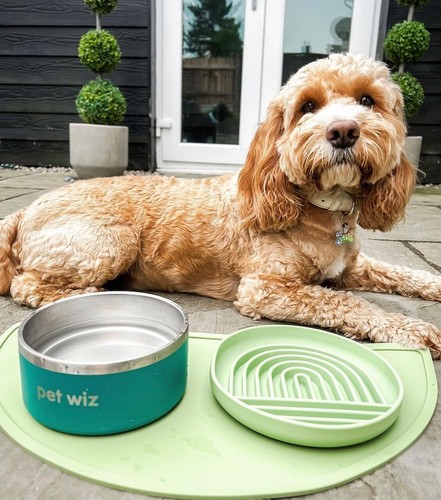 Waterproof Silicone Pet Feeding Mat | Non-Slip, Raised Edges, Easy to Clean - Picture 7 of 12