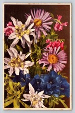 Vintage Alpine Flower Postcard Edelweiss Gentian Asters Germany Postmarked 1930s