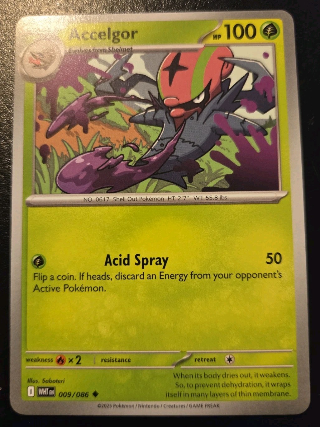 Accelgor 009/086 Uncommon Scarlet & Violet: White Flare Pokemon TCG