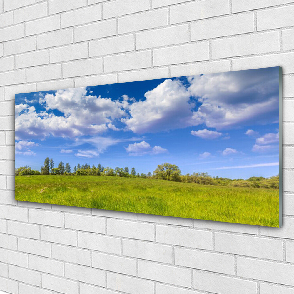 Tableau en verre acrylique 125x50 cm avec paysage de prairie d'herbe