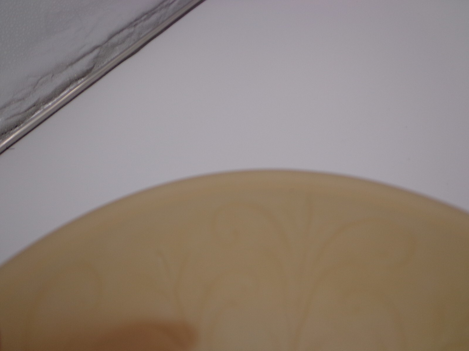 Picture 7 of 7